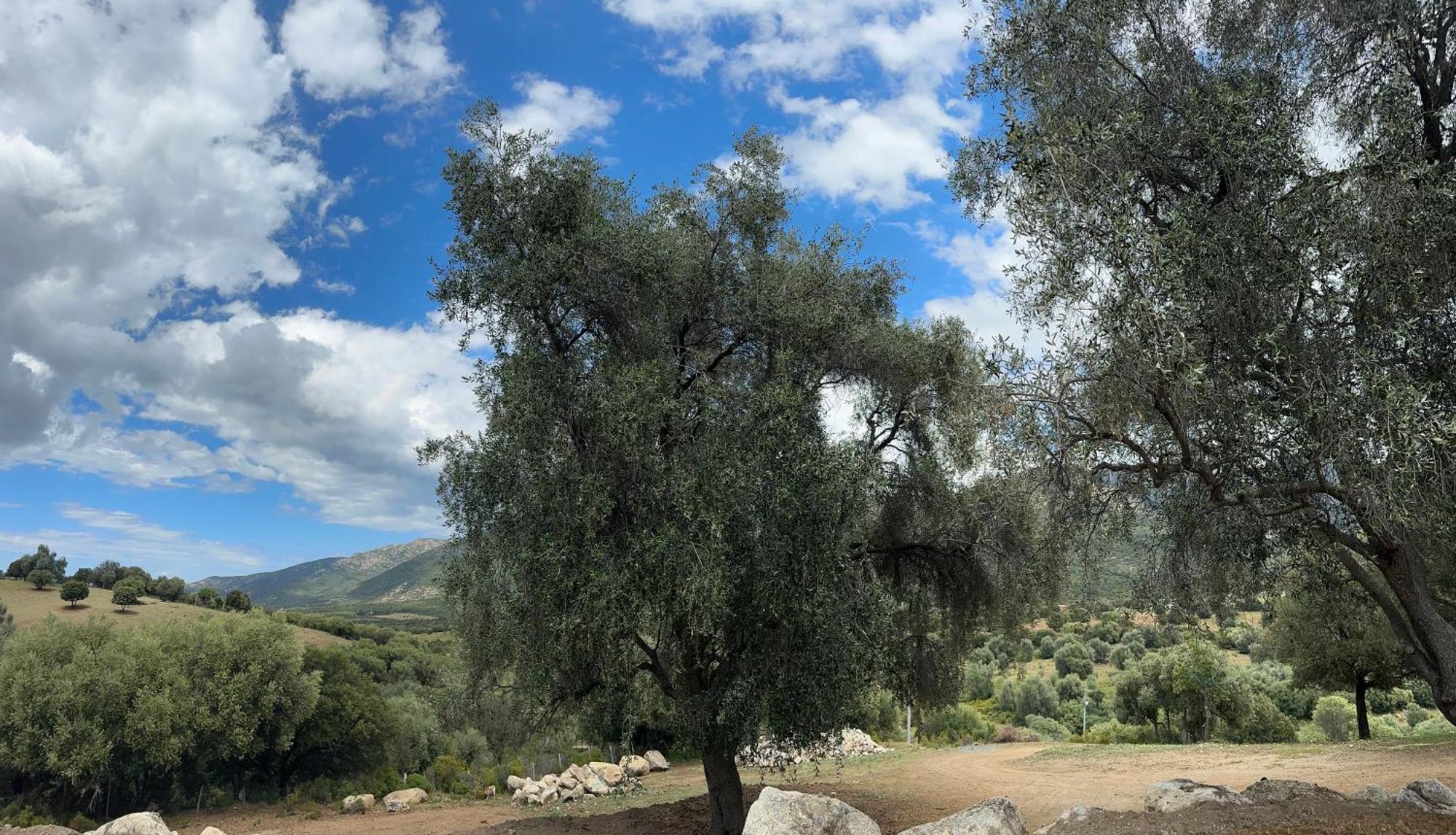 La Casa D'Ange Bergerie De Luxe Villa Lama Bagian luar foto