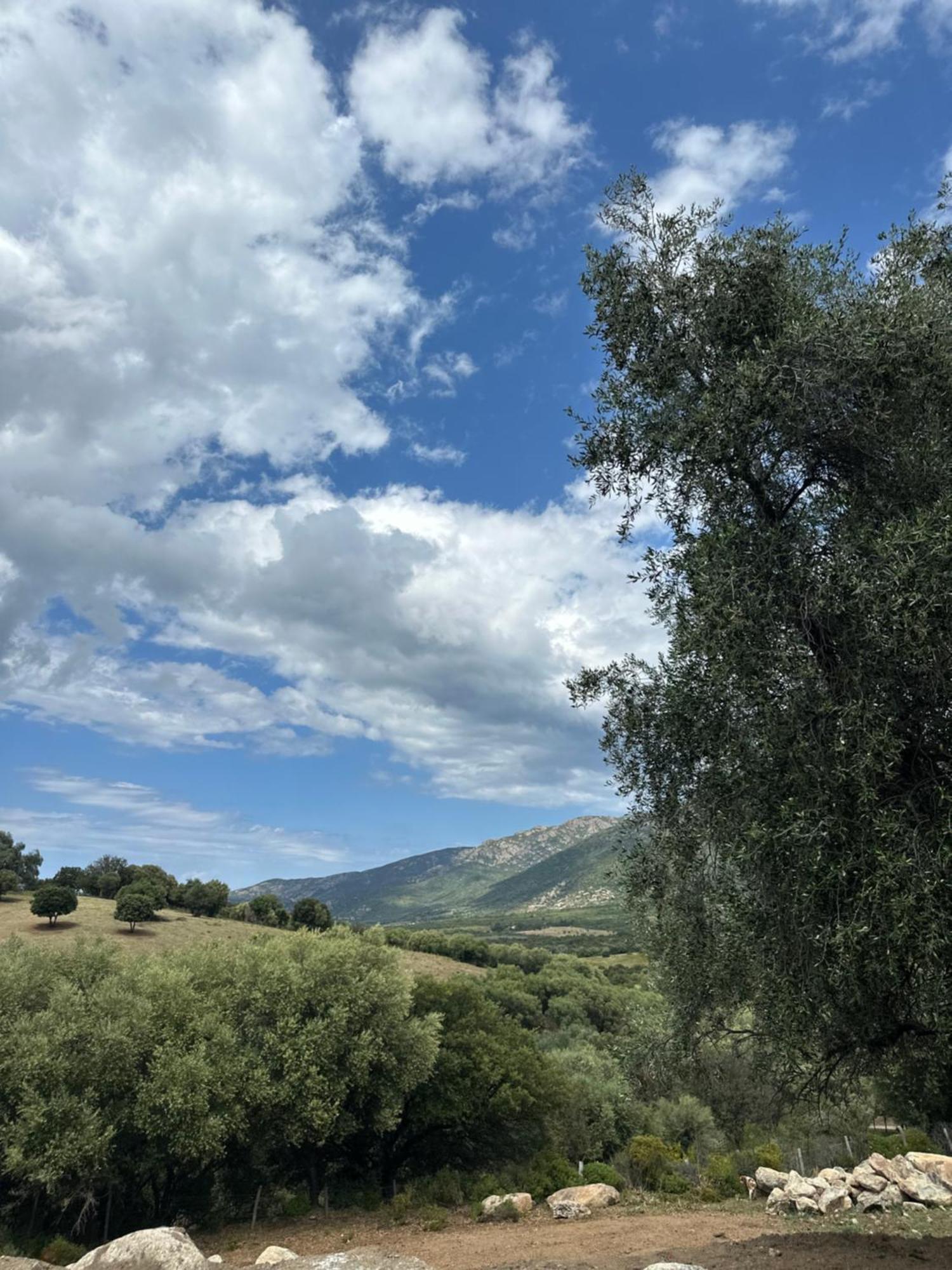 La Casa D'Ange Bergerie De Luxe Villa Lama Bagian luar foto