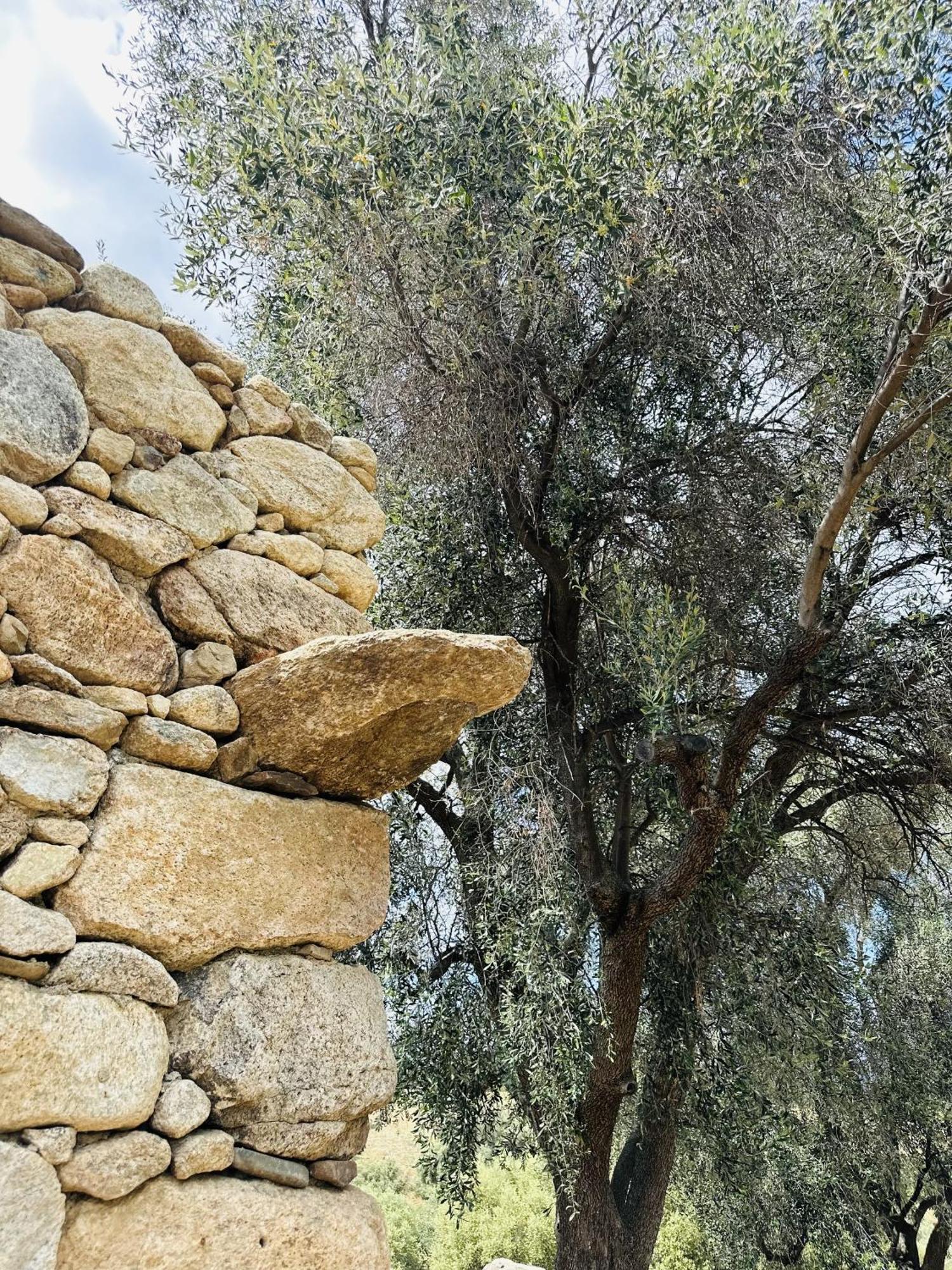 La Casa D'Ange Bergerie De Luxe Villa Lama Bagian luar foto